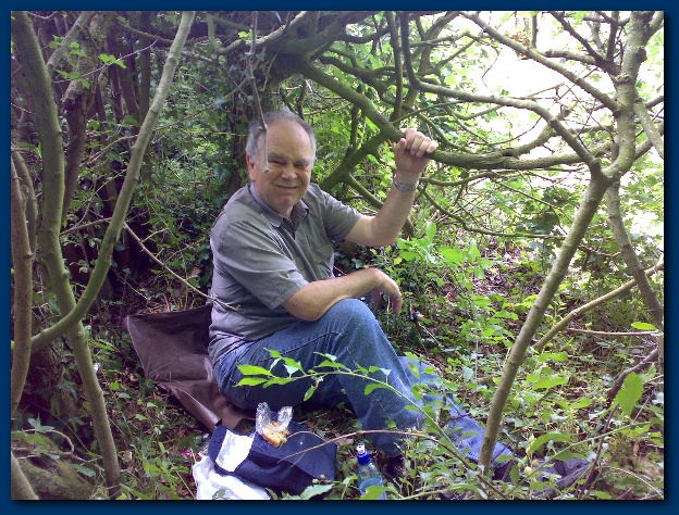 600x449 pixels (215K)